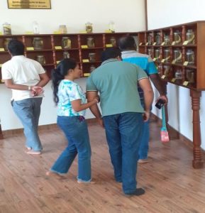 Awareness program for Sanasa Bank staff members organized by LMM, focusing on environmental sustainability and mangrove conservation.