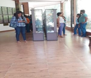Awareness program for Sanasa Bank staff members organized by LMM, focusing on environmental sustainability and mangrove conservation.