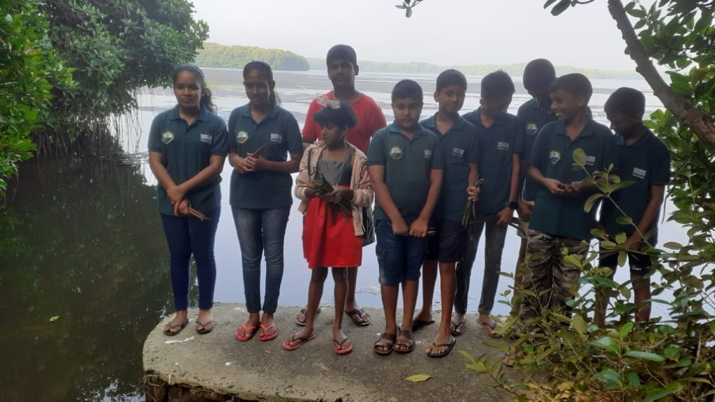 Together with Mangroves Youth Society members taking care of a small nursery, promoting environmental awareness and mangrove conservation.