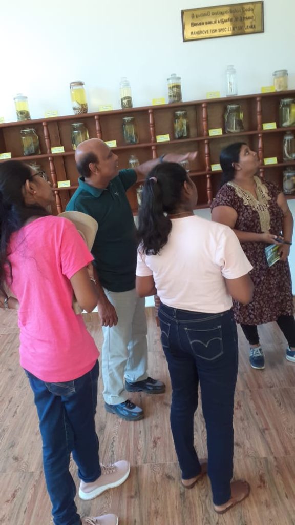 Dr. Roshan Perera and his students visiting the Lanka Mangrove Museum to explore mangrove ecosystems and biodiversity conservation initiatives.