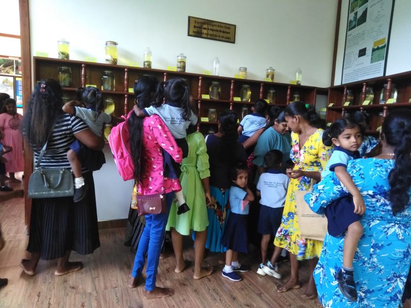 Students from Shine Star Pre-School, Kithusewana Church, Inigodawela visiting the Lanka Mangrove Museum for an educational experience.