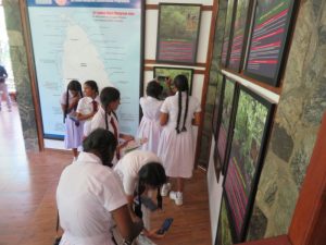 Awareness Program for the students of CWW Kannangara Central College, Hunumulla | Lanka Mangrove Museum and Learning Center Students of CWW Kannangara Central College, Hunumulla, participating in a mangrove conservation awareness program at Lanka Mangrove Museum.