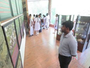 Awareness Program for the students of CWW Kannangara Central College, Hunumulla | Lanka Mangrove Museum and Learning Center Students of CWW Kannangara Central College, Hunumulla, participating in a mangrove conservation awareness program at Lanka Mangrove Museum.