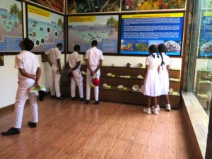 Awareness Program for the students of CWW Kannangara Central College, Hunumulla | Lanka Mangrove Museum and Learning Center Students of CWW Kannangara Central College, Hunumulla, participating in a mangrove conservation awareness program at Lanka Mangrove Museum.