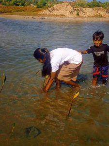 Young boy and group of people planting mangrove saplings in shallow water in Ammathottam Village