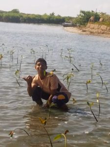 Young boy and group of people planting mangrove saplings in shallow water in Ammathottam Village
