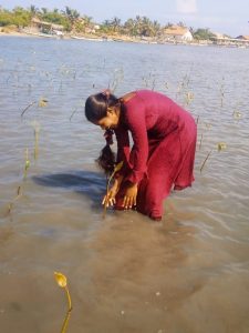 Young boy and group of people planting mangrove saplings in shallow water in Ammathottam Village