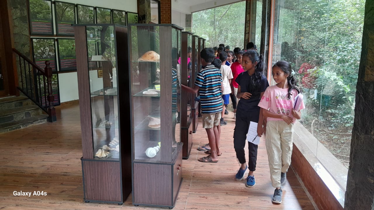 On July 17, 2025, the Lanka Mangrove Museum conducted a special awareness programme focused on the growing environmental concern of microplastics. The session was organized for the primary students of Ch/ Vijaya Maha Vidyalaya, Chilaw, with the aim of educating young minds about the dangers posed by microplastic pollution and its impact on marine ecosystems.