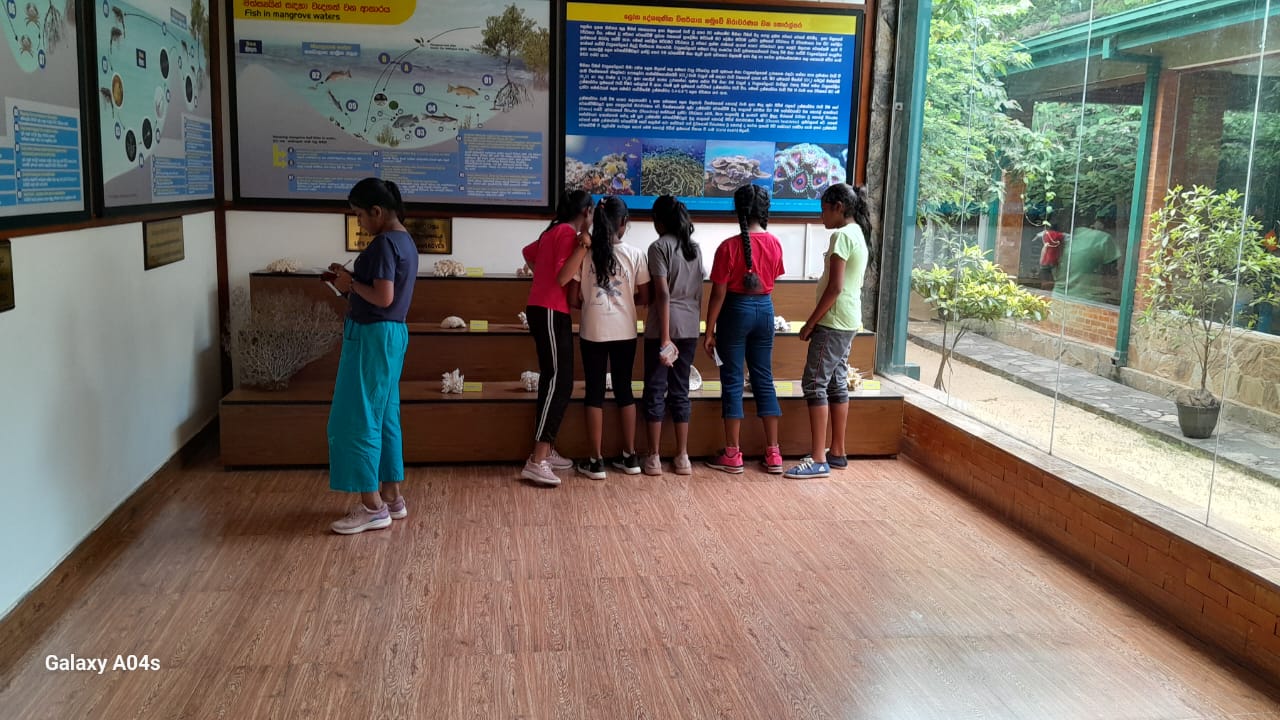 On July 17, 2025, the Lanka Mangrove Museum conducted a special awareness programme focused on the growing environmental concern of microplastics. The session was organized for the primary students of Ch/ Vijaya Maha Vidyalaya, Chilaw, with the aim of educating young minds about the dangers posed by microplastic pollution and its impact on marine ecosystems.