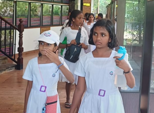 On the 29th of July 2025, the Lanka Mangrove Museum welcomed a vibrant group of 254 students and 40 teachers from Mahanuwara Gothami Balika Vidyalaya. The visiting students, ranging from grades 6 to 9, were given a unique opportunity to explore the museum's exhibits and gain a deeper understanding of Sri Lanka’s precious mangrove ecosystems.