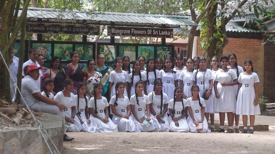 On April 14, 2025, a group of enthusiastic students from Taxila Maha Vidyalaya visited the Lanka Mangrove Museum for an enriching educational experience centered on mangrove conservation and environmental awareness.