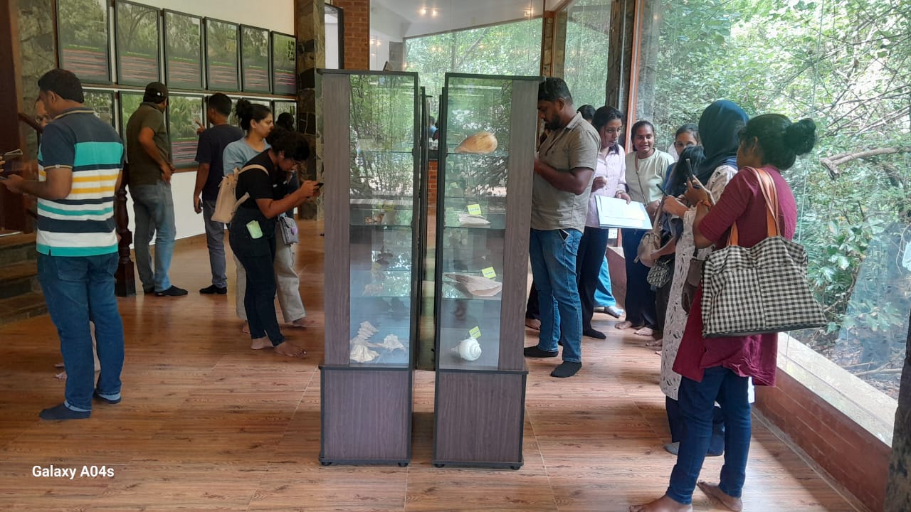 MSc students in Environmental Science from The Open University of Sri Lanka visited the Lanka Mangrove Museum, accompanied by Dr. D.D. Gihan Dahanayake, a lecturer from the Department of Zoology at the university. During their visit, the students explored the museum’s interactive exhibits and gained valuable insights into the ecological importance of mangroves. They learned about mangrove biodiversity, conservation challenges, and the role these vital ecosystems play in protecting coastlines and supporting marine life.