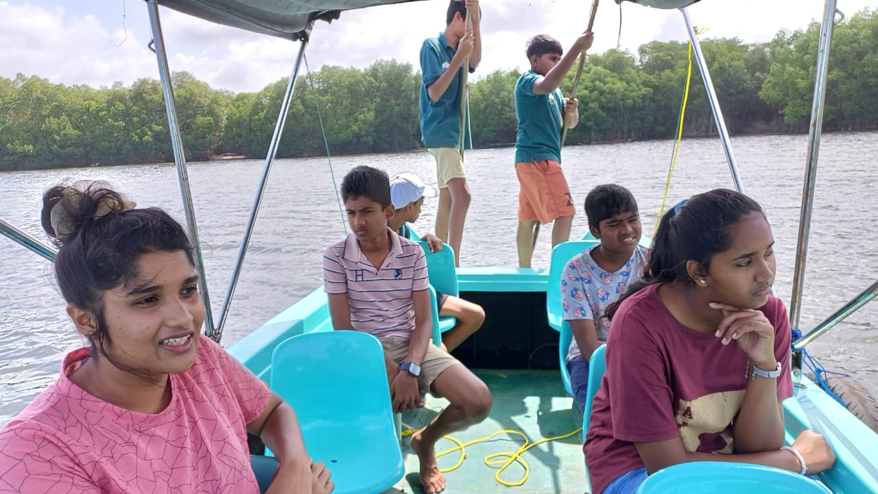 On August 14, 2025, a student from the Ocean University of Sri Lanka carried out research at the Lanka Mangrove Museum, focusing on the animals associated with mangrove roots. Mangrove root systems provide shelter, breeding grounds, and feeding areas for a wide range of associated fauna such as crabs, mollusks, shrimps, and small fish. These species play a crucial role in nutrient cycling, coastal food webs, and the overall health of mangrove ecosystems. The student’s research seeks to deepen understanding of these vital interactions and highlight their ecological importance.