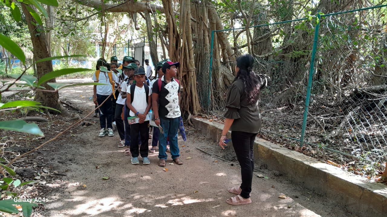 During the tour, the students were introduced to the exhibits showcasing the rich biodiversity of mangrove ecosystems, the importance of mangroves in carbon storage, and their role in protecting coastal communities from erosion and natural disasters. The interactive learning experience encouraged the children to ask questions and engage with the displays, sparking their curiosity about nature and conservation.