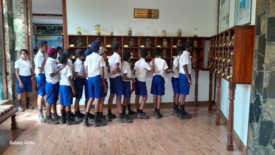 On August 4, 2025, a group of enthusiastic students from Taxila Central College, Horana visited the Lanka Mangrove Museum as part of an educational tour aimed at enhancing their knowledge on mangrove ecosystems and environmental conservation.