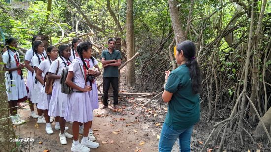 On the 1st of August 2025, a group of enthusiastic students from Karavitagara Vidyalaya, Chilaw, embarked on an educational journey to the Lanka Mangrove Museum. The visit aimed to enrich the students' understanding of mangrove ecosystems and their critical role in environmental conservation.