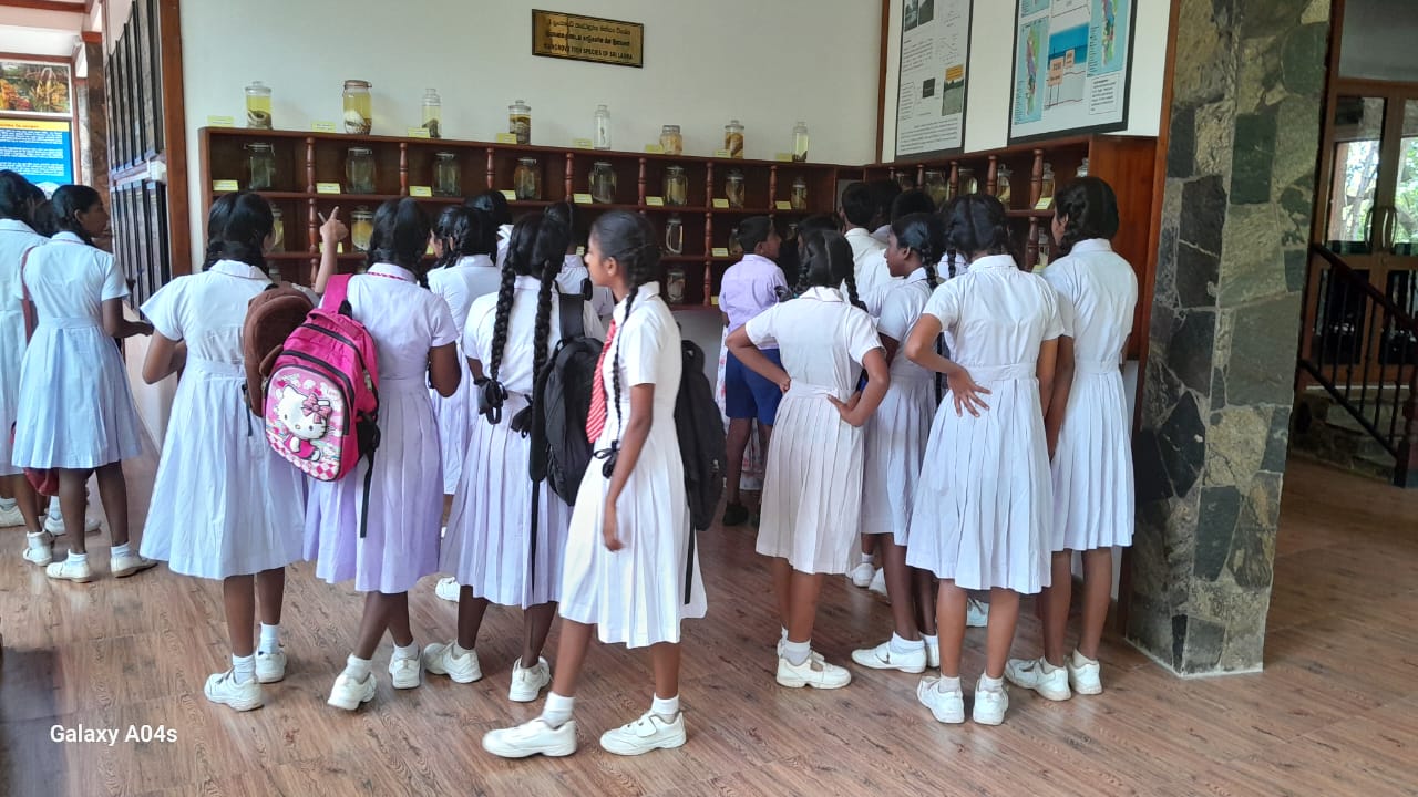 The program commenced with an interactive awareness session held in the museum auditorium. The students attentively listened as the museum's Educational Officer explained the importance of mangroves in protecting coastal areas, preventing soil erosion, and supporting marine biodiversity. The large glass panels of the auditorium allowed the students to observe the surrounding mangrove environment, making the session even more engaging and immersive.