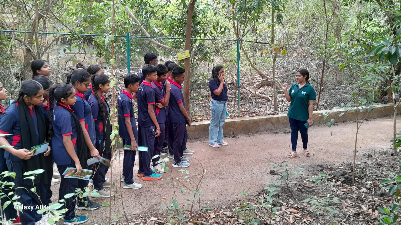 On August 22, 2025, students from Royal International School visited the Lanka Mangrove Museum. During their visit, they explored the exhibits that showcased the ecological importance of mangroves and their role in protecting coastal ecosystems. The students gained valuable knowledge about mangrove conservation, biodiversity, and the environmental challenges faced by these unique ecosystems.