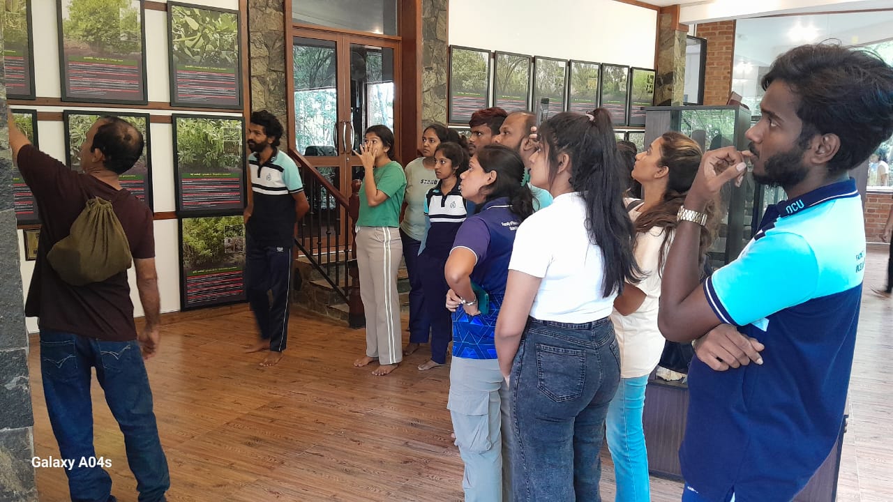 On August 28, 2025, students from the Ocean University of Sri Lanka, accompanied by Dr. Kumara, visited the Lanka Mangrove Museum as part of their case study program. During the visit, they explored the exhibits and gained valuable insights into the importance of mangrove ecosystems and their conservation.