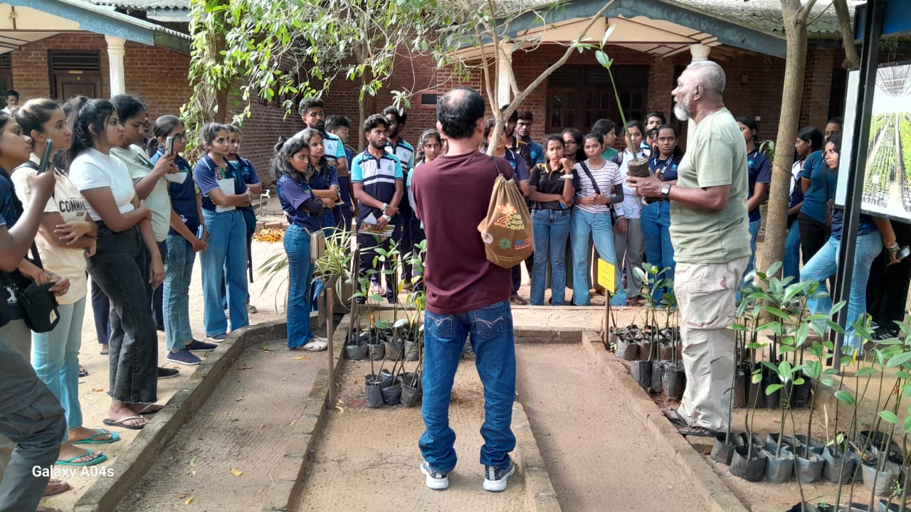 On August 28, 2025, students from the Ocean University of Sri Lanka, accompanied by Dr. Kumara, visited the Lanka Mangrove Museum as part of their case study program. During the visit, they explored the exhibits and gained valuable insights into the importance of mangrove ecosystems and their conservation.