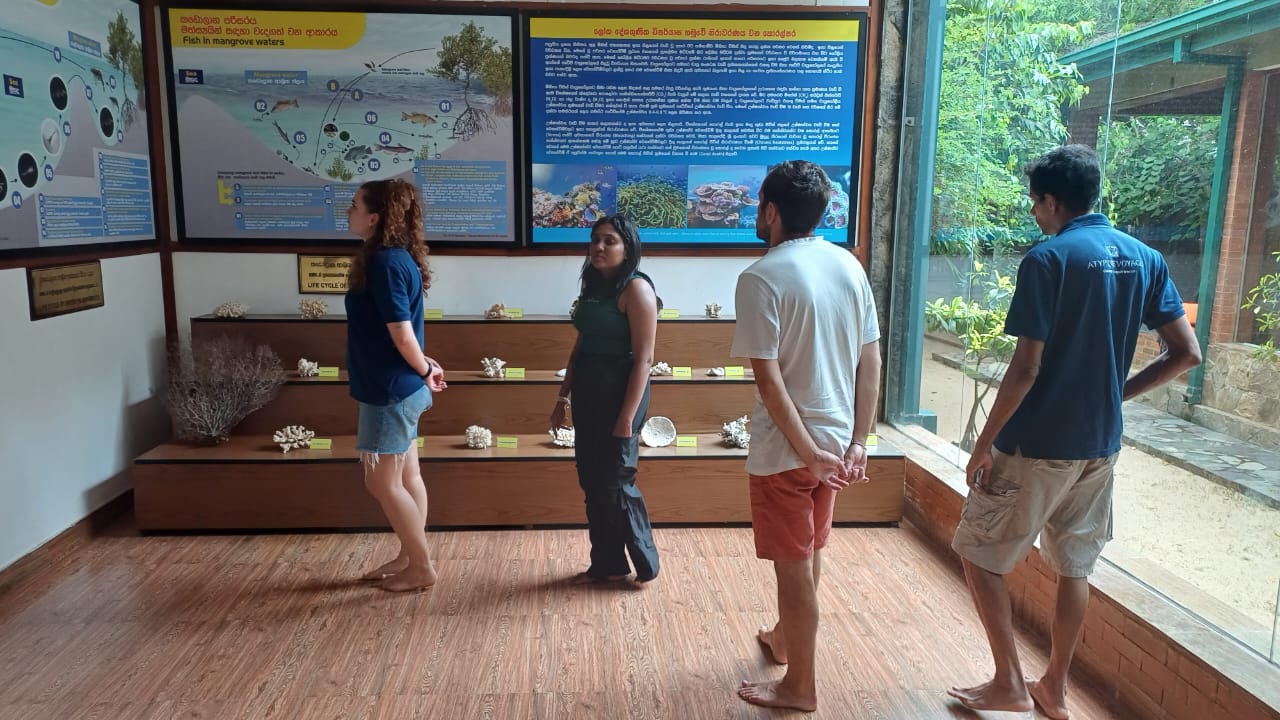 On 30th August 2025, two tourists from France visited the Lanka Mangrove Museum and Learning Center, followed by two tourists from England on 3rd September 2025.