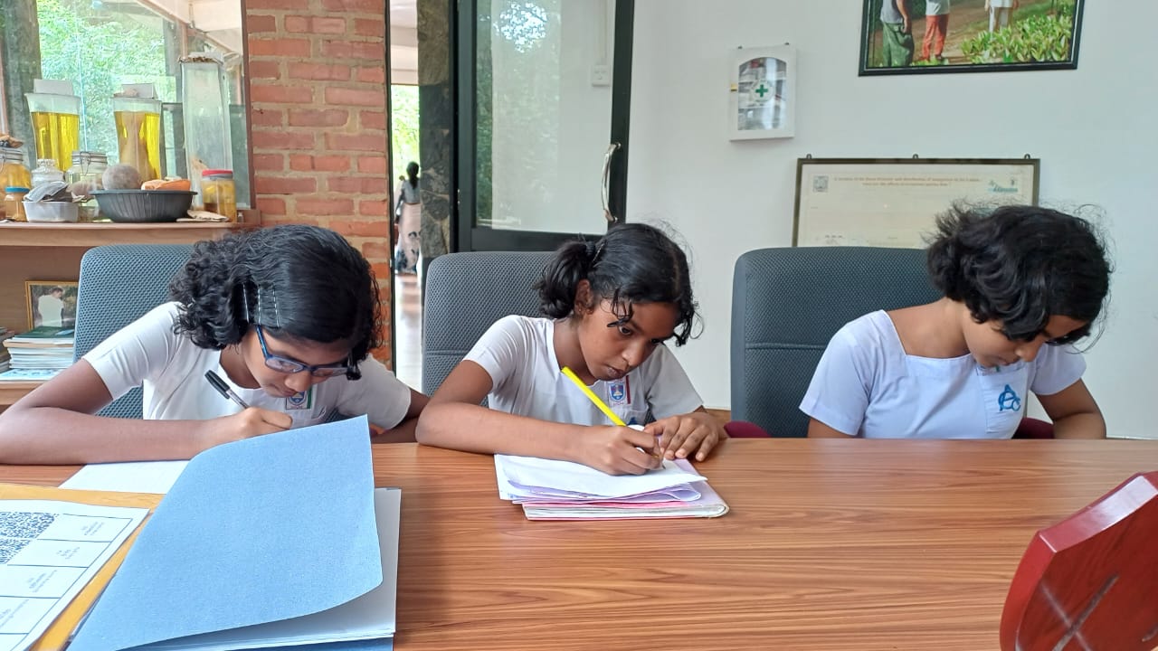 A group of Environmental Pioneers from Ananda National College, Chilaw visited the Lanka Mangrove Museum and Learning Center to gather information about the mangrove ecosystem. Their visit was part of their preparation to achieve the Environmental Pilot Silver Medal (commonly referred to as the Rajatha Medal) at school. During the program, the students explored the museum exhibits, observed educational displays, and gained valuable insights into the importance of mangrove ecosystems. The Educational Officer explained in detail how mangroves contribute to biodiversity, coastal protection, and climate resilience.