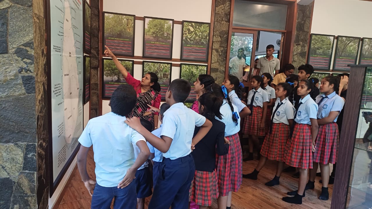 On September 22, 2025, a group of 50 students and teachers from Kingston International School, Dambulla, visited the Lanka Mangrove Museum and Learning Center. During their visit, they explored the exhibits and learned about the importance of mangrove ecosystems in protecting coastlines, supporting biodiversity, and mitigating climate change.