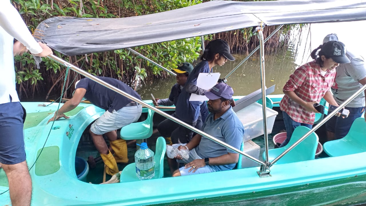 Following the museum tour, the research team, accompanied by the museum staff, conducted field data collection activities in the Pambala Lagoon. This provided valuable practical exposure for the students to study mangrove habitats and their environmental dynamics in a real-world setting.
