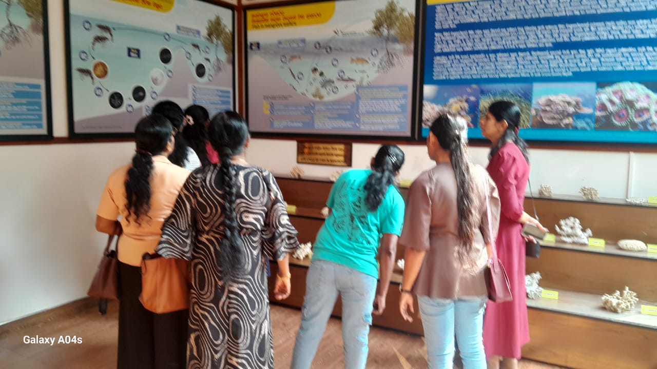 On November 8, 2025, students from Ch/Karukkuwa Sugathananda National School visited the Lanka Mangrove Museum and Learning Center as part of their educational field visit.