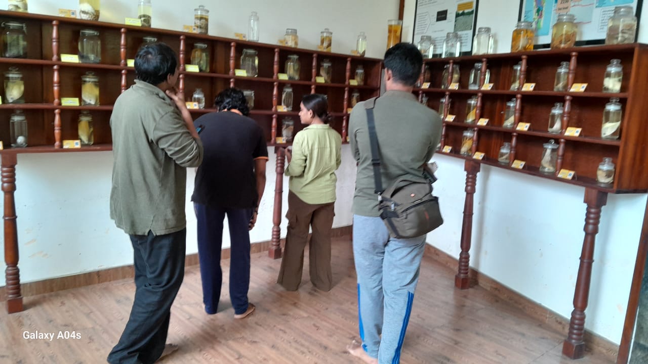 On 20th December 2025, a group of research students from the University of Sri Jayewardenepura visited the Lanka Mangrove Museum & Learning Center as part of their academic field studies. The visit aimed to enhance students’ practical knowledge of mangrove ecosystems and species identification through hands-on learning in a natural environment.