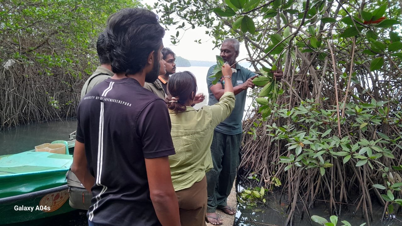 On 20th December 2025, a group of research students from the University of Sri Jayewardenepura visited the Lanka Mangrove Museum & Learning Center as part of their academic field studies. The visit aimed to enhance students’ practical knowledge of mangrove ecosystems and species identification through hands-on learning in a natural environment.