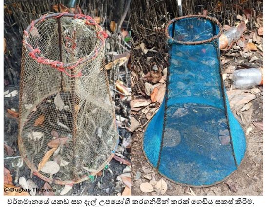 This fishing device, called a Karak gediya, is a fishing gear primarily used in the lagoon and tank fishing industry. In particular, it does not require any money to prepare it. In the past, fish and shrimp were caught using this device. Fishing was done with the help of this device, especially in the waters surrounding the mangroves of the lagoons. According to folklore, the word "karakgediya" has arisen in folklore because fishermen who fish with the help of a Karakgediya do not go far and do their fishing work by staying in the same place.