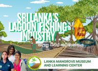 Mangrove-associated fisheries play a vital role in the livelihood and food security of coastal communities living around lagoon ecosystems. The complex root systems of mangrove trees provide shelter, feeding grounds, and nursery habitats for a wide range of aquatic species, including fish, crabs, and shrimp, making mangrove areas highly productive fishing zones. In the lagoon environment, fishers harvest a variety of species using traditional and small-scale methods such noodling, traps, kemana, and brush-pile-based techniques. Juvenile and adult fish use the submerged mangrove roots for protection from predators and as feeding grounds, making these areas important locations for artisanal fish catches. Crabs, especially mangrove and lagoon crab species, thrive among prop roots where they feed, hide, and molt. During low tide, many are caught by hand or using simple traps placed near root clusters. Similarly, shrimp species rely on mangrove detritus and nutrient-rich waters for growth. Their abundance in channels and root zones supports seasonal shrimp collection using nets and traditional gear. Overall, mangrove-associated fishing forms a tightly linked socio-ecological system where the health of the mangrove habitat directly influences the availability of lagoon fish, crabs, and shrimp. Protecting mangroves ensures the sustainability of these fisheries while supporting the cultural traditions and livelihoods of lagoon-dependent communities.