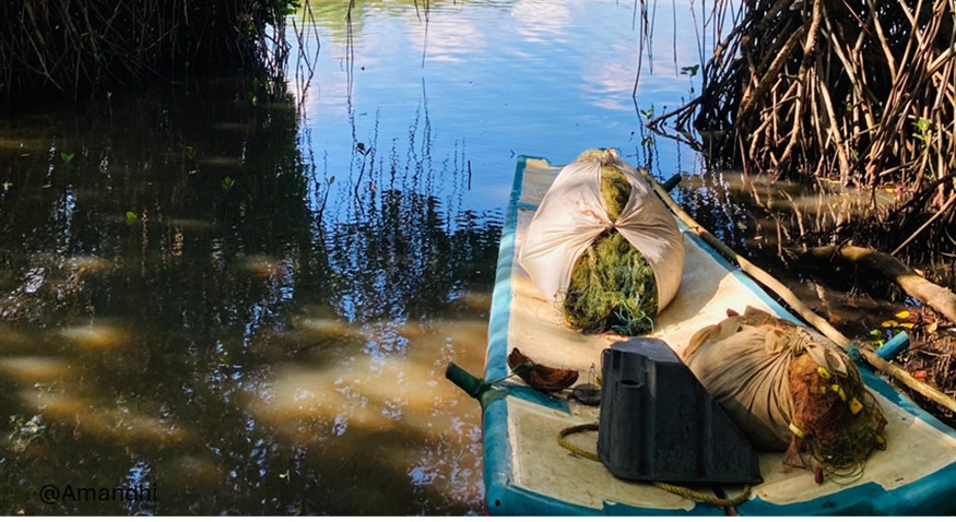 Since ancient times, this craft has been used for fishing in reservoirs. It is constructed using about five wooden logs, each approximately 10–12 feet in length. The logs are carefully cleaned and smoothed to make them light, and holes are made near both ends of the logs. Two wooden crossbars are passed through these holes and firmly tied using ropes, forming the structure of the craft into a stable shape. These wooden crossbars are known as “kombuwa.” In the past, these rafts were made entirely of wood, and coconut oil was applied periodically to preserve the durability of the timber. At present, the use of wooden rafts has declined, and only fiberglass rafts are commonly seen.