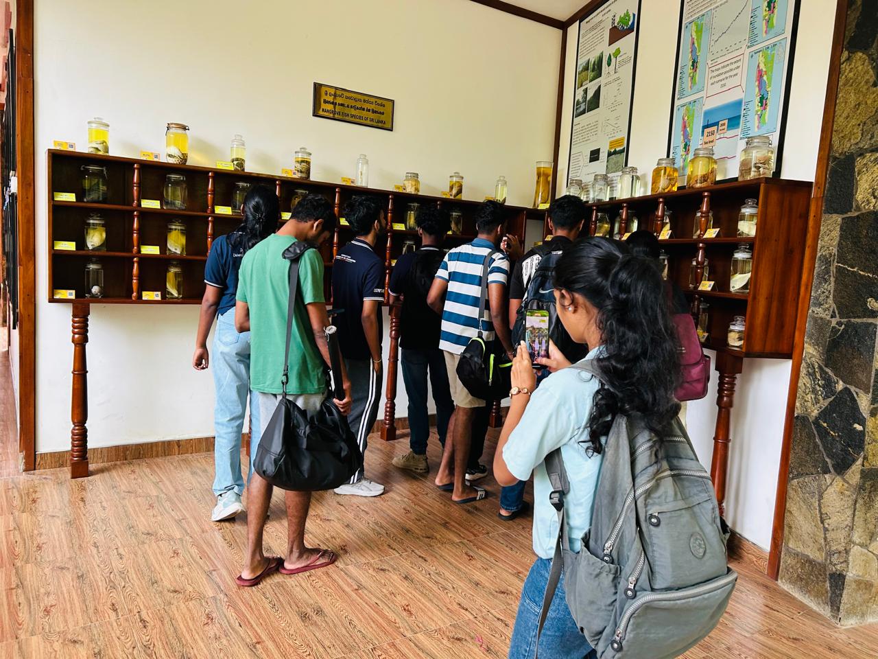 Following the indoor session, the students, along with the museum staff, proceeded to the field for direct observations. This field visit provided hands-on exposure to mangrove species, their adaptations, and the surrounding lagoon environment. The practical experience helped the students connect theoretical knowledge with real-world conservation practices.