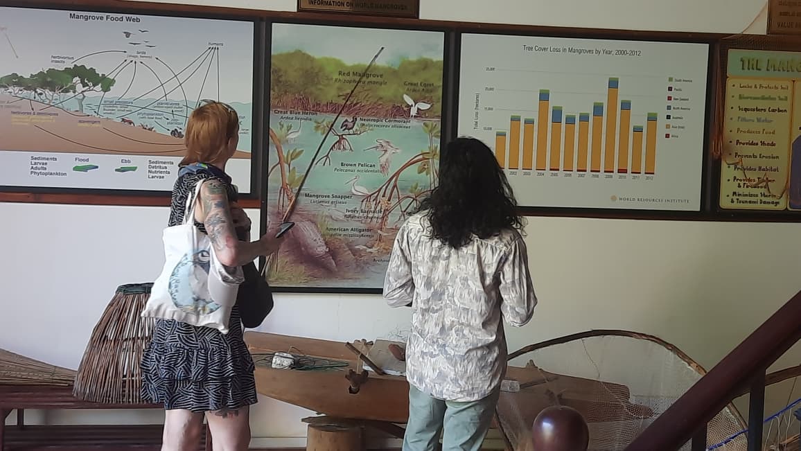 On 14th January, a visitor from Ireland visited the Lanka Mangrove Museum and Learning Center. She was fascinated by the well-curated exhibits and expressed her admiration for the overall setting and excellent maintenance of the museum. During her visit, she showed great interest in learning about mangrove ecosystems, conservation efforts, and the important role mangroves play in protecting coastal environments. The visitor highly appreciated the dedication of the museum staff in preserving and presenting valuable environmental knowledge in an engaging and informative manner.