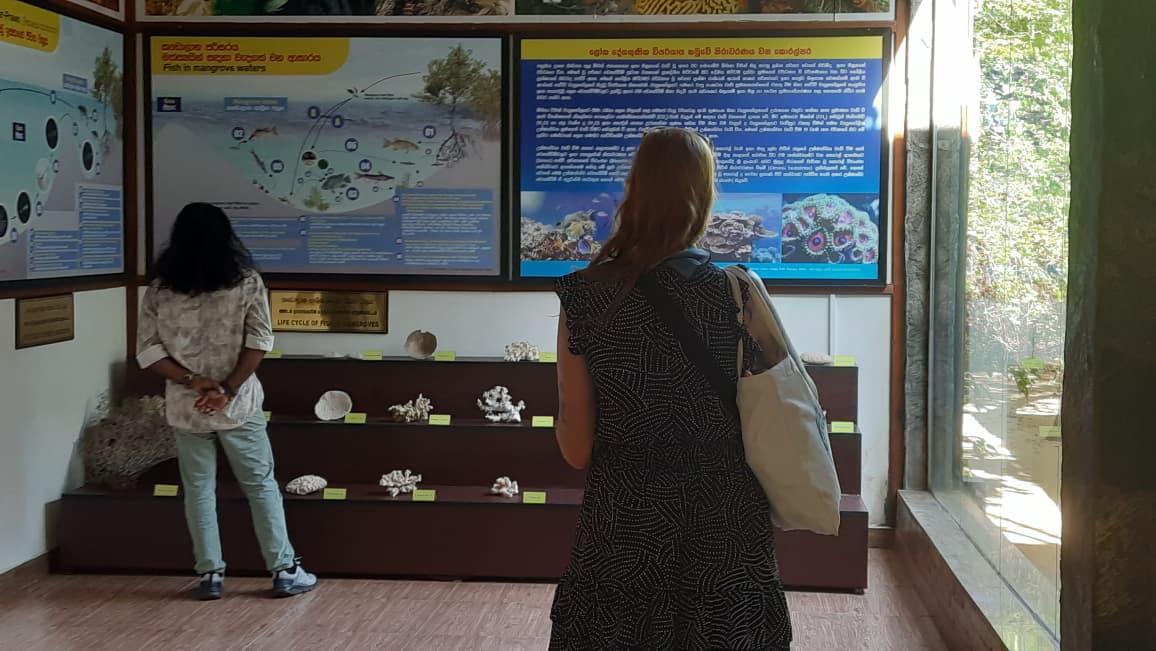 On 14th January, a visitor from Ireland visited the Lanka Mangrove Museum and Learning Center. She was fascinated by the well-curated exhibits and expressed her admiration for the overall setting and excellent maintenance of the museum. During her visit, she showed great interest in learning about mangrove ecosystems, conservation efforts, and the important role mangroves play in protecting coastal environments. The visitor highly appreciated the dedication of the museum staff in preserving and presenting valuable environmental knowledge in an engaging and informative manner.
