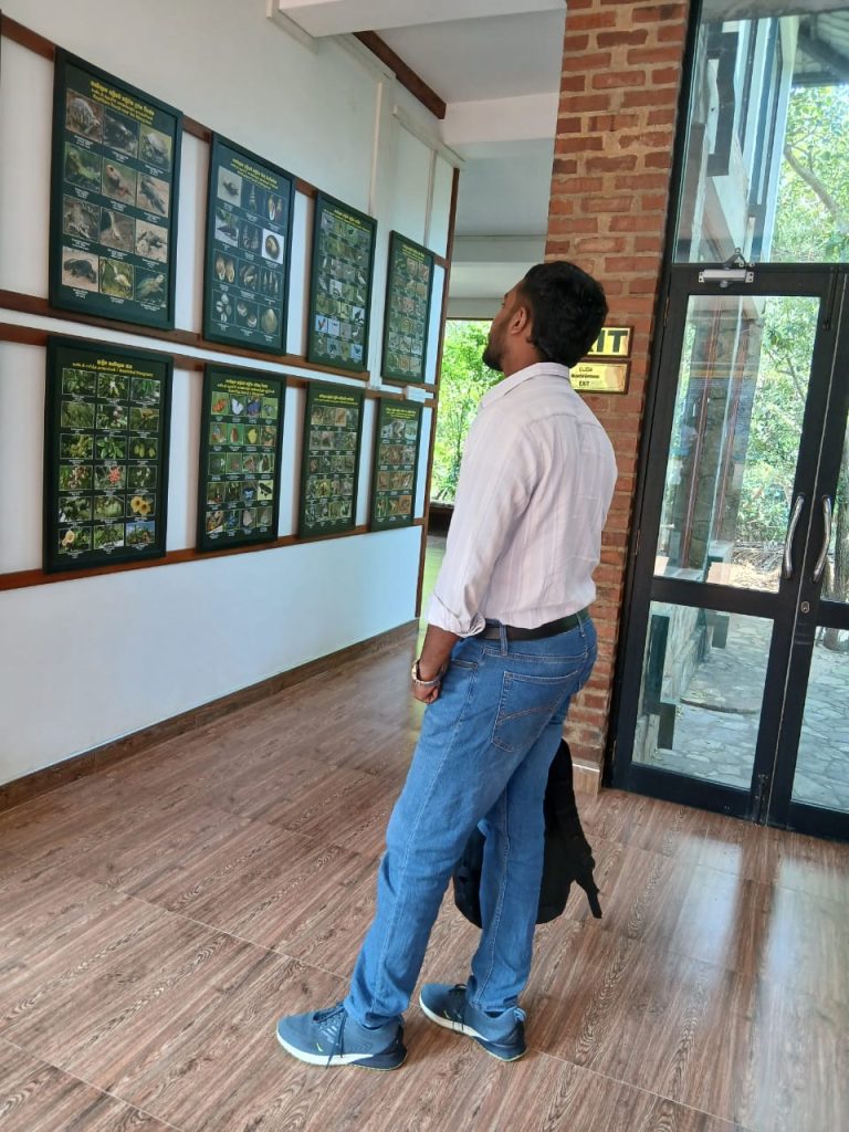 On 17 January 2026, a research student visited the Lanka Mangrove Museum and Learning Center to collect field data as part of an academic study focused on mangrove ecosystems in Sri Lanka. The research aims to identify and analyze the differences between mangrove species found in the Negombo and Chilaw areas. During the visit, the student conducted detailed measurements of key physical characteristics of mangrove trees, including leaf length and size, tree height, and trunk diameter. These measurements are essential for understanding how mangroves adapt to different environmental conditions in each location.