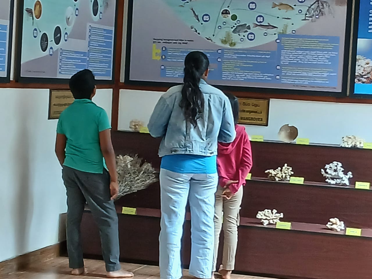 On 16th January 2026, small groups from Chilaw, Arachchikattuwa, Mahawewa, and Madampe visited the Lanka Mangrove Museum and Learning Center. Unlike organized institutional field visits, these visitors came independently after learning about the museum through social media and the official website. Their visits are highly encouraging, as they reflect growing public awareness and appreciation of mangrove conservation efforts. The interest shown by these community members highlights the impact of effective outreach and the importance of sharing conservation work with a wider audience. Such engagement motivates the museum to continue its mission of protecting mangrove ecosystems while educating and inspiring the public.
