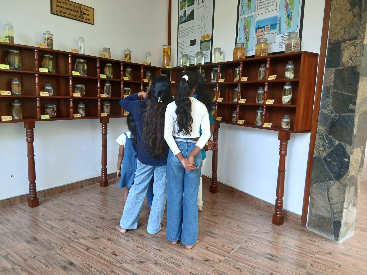 On 16th January 2026, small groups from Chilaw, Arachchikattuwa, Mahawewa, and Madampe visited the Lanka Mangrove Museum and Learning Center. Unlike organized institutional field visits, these visitors came independently after learning about the museum through social media and the official website. Their visits are highly encouraging, as they reflect growing public awareness and appreciation of mangrove conservation efforts. The interest shown by these community members highlights the impact of effective outreach and the importance of sharing conservation work with a wider audience. Such engagement motivates the museum to continue its mission of protecting mangrove ecosystems while educating and inspiring the public.