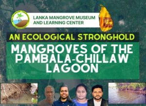 A lagoon is a shallow body of water that is partly or completely separated from the sea by obstacles like sand barriers, coral reefs, barrier islands or mangrove belts. Lagoons can be a huge biodiversity hotspot that includes various floral and faunal species. Some of them are mangroves, seagrasses, algae, planktons, fishes, crustateans, molluscs, birds and other fauna like plychaetes and crocodles. As a island country consisting of 14 coastal districts, Sri Lanka provides home for a plenty of lagoons- ex: Chillaw lagoon, Negombo lagoon, Batticolo lagoon, Koggala lagoon, Rekawa lagoon and etc…