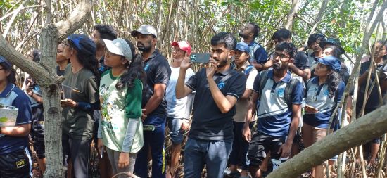 On March 23, 2026, a group of students from Ocean University visited the Lanka Mangrove Museum and Learning Center for an educational experience focused on environmental conservation. During their visit, the students explored the museum exhibits, gaining valuable insights into the ecological importance of mangrove ecosystems. They learned how mangroves contribute to coastal protection, support biodiversity, and play a vital role in carbon storage.