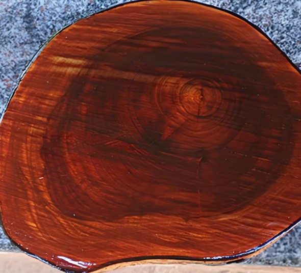 Across the trunk of the Xylocarpus granatum tree