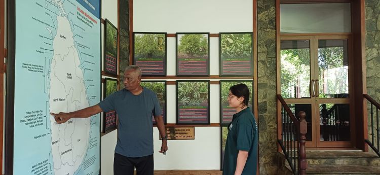 The Lanka Mangrove Museum warmly welcomed an international volunteer from India on 27 May 2026. The volunteer has joined a six-week educational and research program organized through AIESEC's “Rooted” Project. During the program, the participant will engage in various activities related to mangrove conservation, environmental education, and sustainable ecosystem management. The volunteer will work closely with the museum team, gaining practical knowledge and contributing to ongoing conservation and awareness initiatives.
