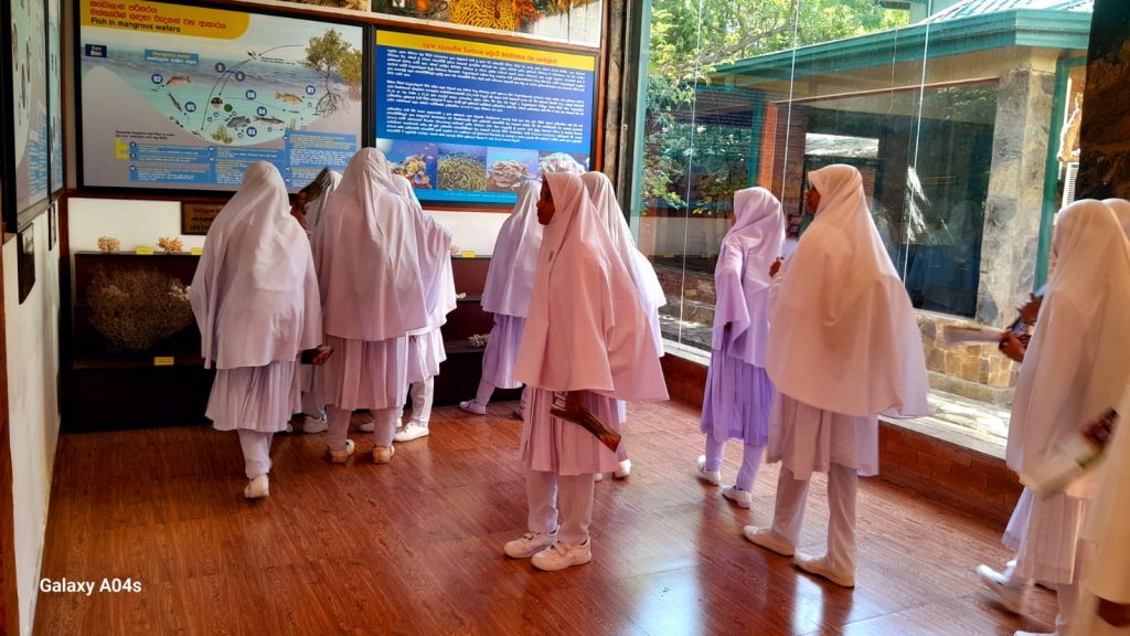 On 2026.04.30, students from Fathima Balika Vidyalaya visited the Lanka Mangrove Museum and Learning Center for an educational field visit. 🌿 During their visit, the students explored the museum exhibits and learned about the importance of mangrove ecosystems, biodiversity, and environmental conservation. The visit provided them with valuable knowledge and a meaningful experience in understanding the importance of protecting nature for future generations. 💚🌱