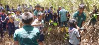 Youth Leadership in Mangrove Conservation – Presidential Award Activities | Lanka Mangrove Museum and Learning Center As part of the activities carried out to achieve the Presidential Award for the Junior Achievement Program, a student from Maliyadeva College participated in several environmental conservation initiatives together with the children of the “Together With Mangroves” Children’s Society at the Lanka Mangrove Museum and Learning Center.
