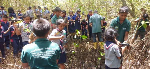 As part of the activities carried out to achieve the Presidential Award for the Junior Achievement Program, a student from Maliyadeva College participated in several environmental conservation initiatives together with the children of the “Together With Mangroves” Children’s Society at the Lanka Mangrove Museum and Learning Center.