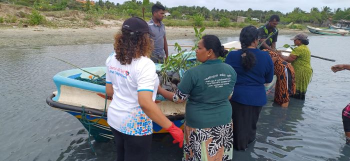 Today, a mangrove planting program was successfully conducted in the Ammathottam area of Kalpitiya with the aim of protecting and restoring the valuable mangrove ecosystem. The initiative was organized by the museum and financially supported by Port City – B.O.P.