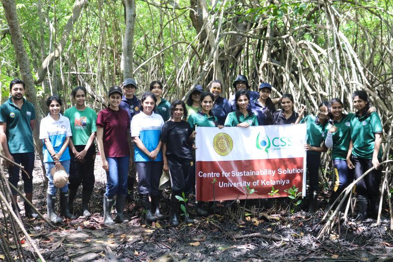 On 5th June, in celebration of World Environment Day, the Centre for Sustainable Solutions (CSS) of the University of Kelaniya visited the Lanka Mangrove Museum and Learning Center to participate in a mangrove restoration programme. As part of the initiative, students and staff members planted 100 mangrove saplings, contributing to the conservation and restoration of the valuable mangrove ecosystem in the Pambala area. The programme aimed to raise environmental awareness while encouraging active participation in climate action and biodiversity conservation.