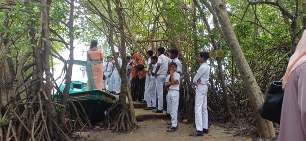 Students from Grades 4, 5, 10, and 11 of Madampe Muslim School visited the Lanka Mangrove Museum and Learning Center for an educational programme. During their visit, the students explored the museum exhibits, learned about the importance of mangrove ecosystems, biodiversity conservation, and environmental protection.
